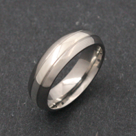 Titanium Ring - Silver Teos